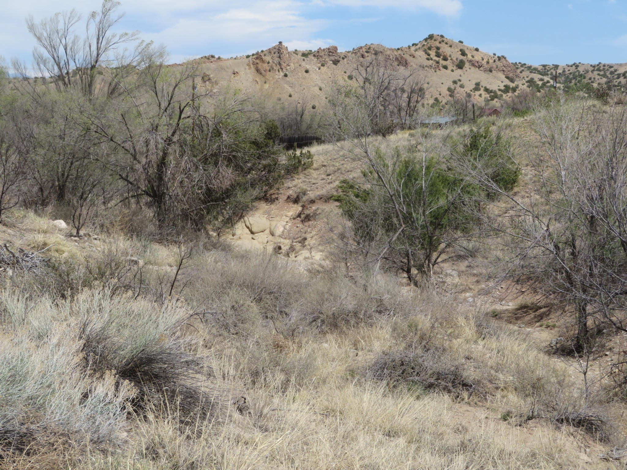 Unassigned Nm 14 #3100 BLOCK OF NM 14, Cerrillos, New Mexico image 1