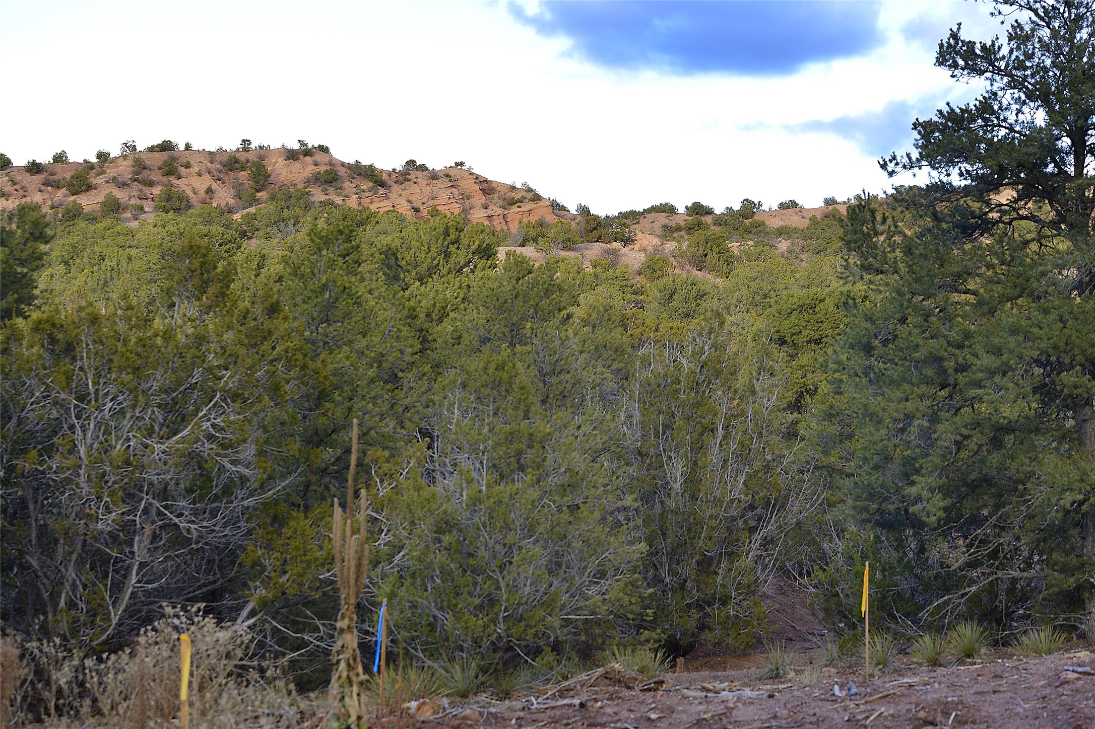 1479 Bishops Lodge Road #B, Santa Fe, New Mexico image 2