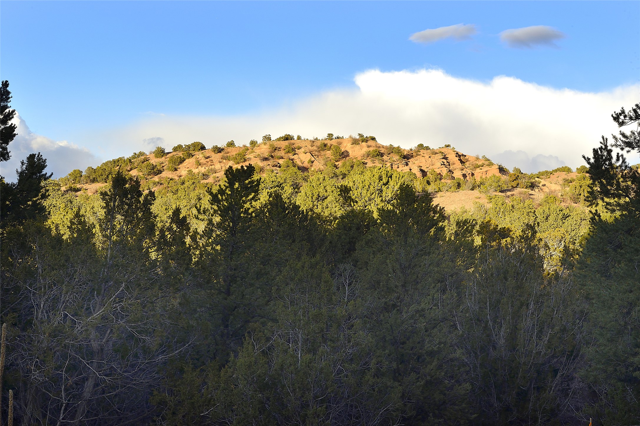 1479 Bishops Lodge Road #B, Santa Fe, New Mexico image 3