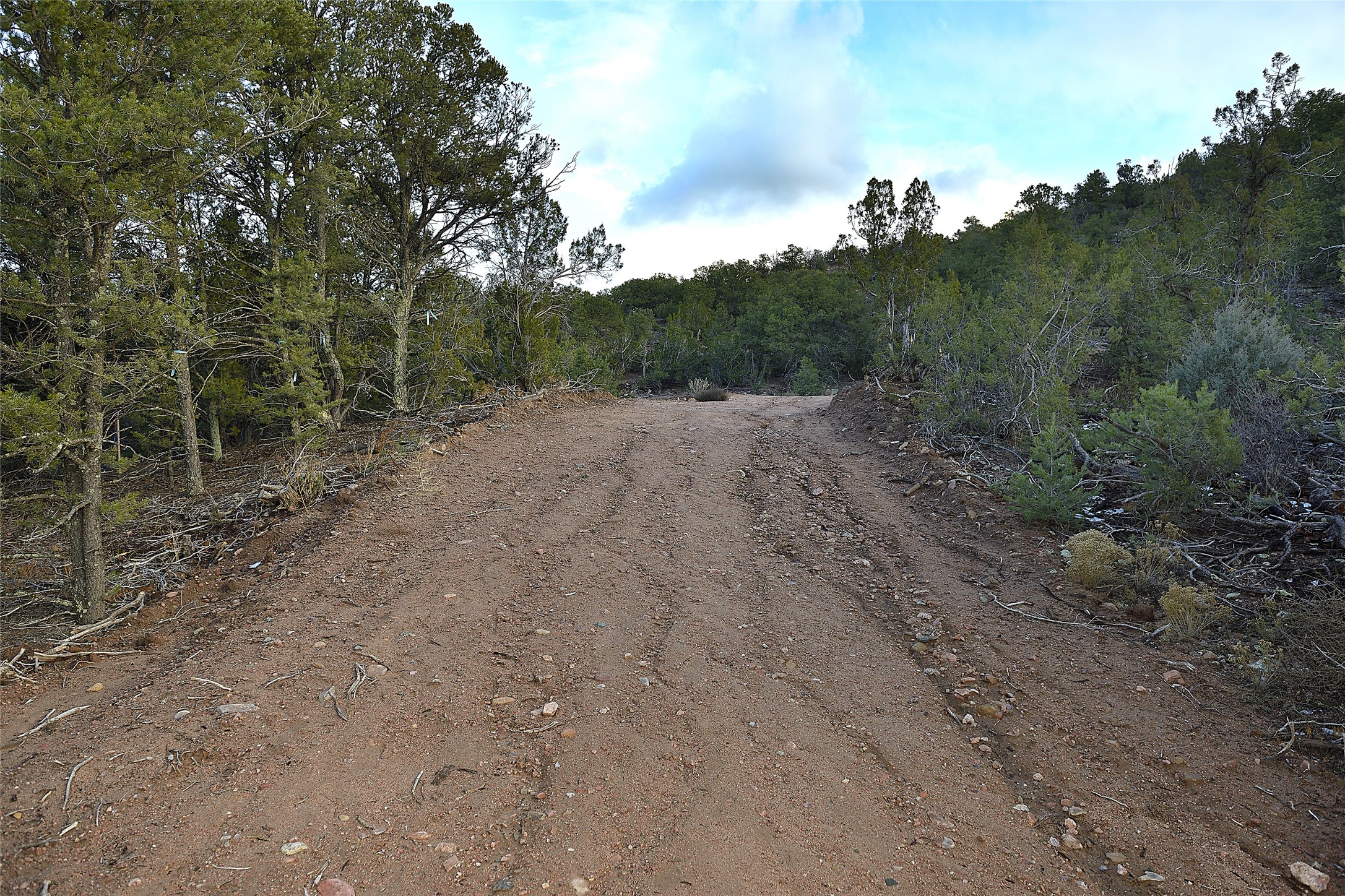 1479 Bishops Lodge Road #B, Santa Fe, New Mexico image 4