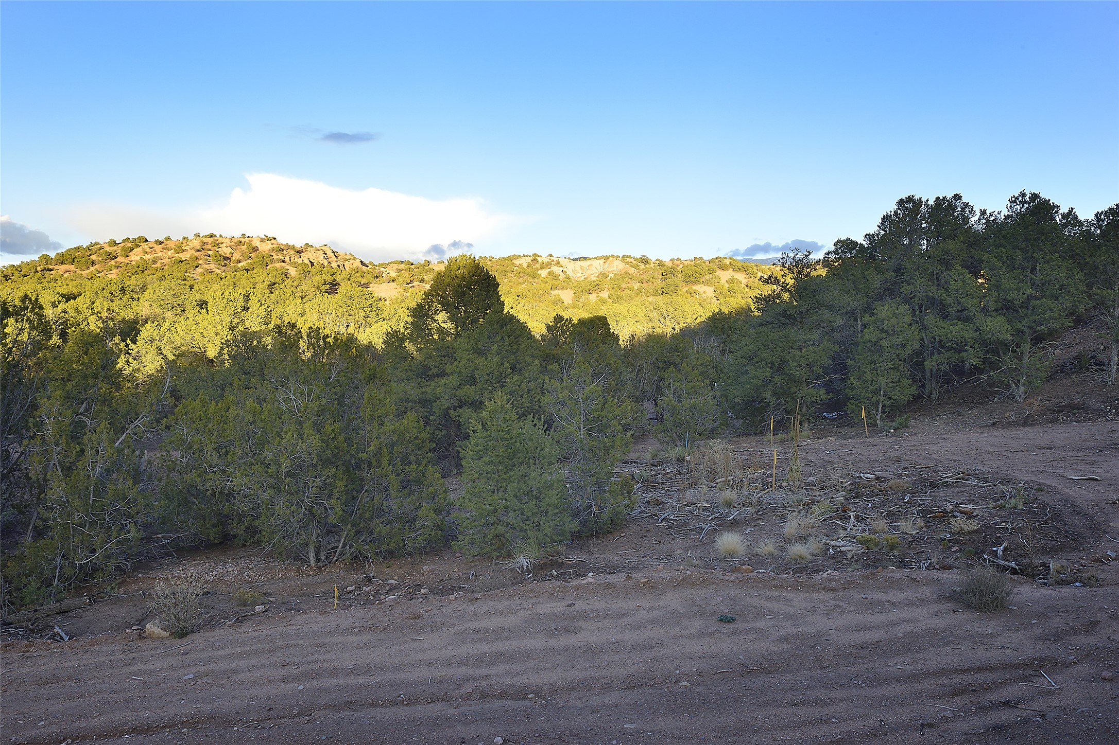 1479 Bishops Lodge Road #B, Santa Fe, New Mexico image 9