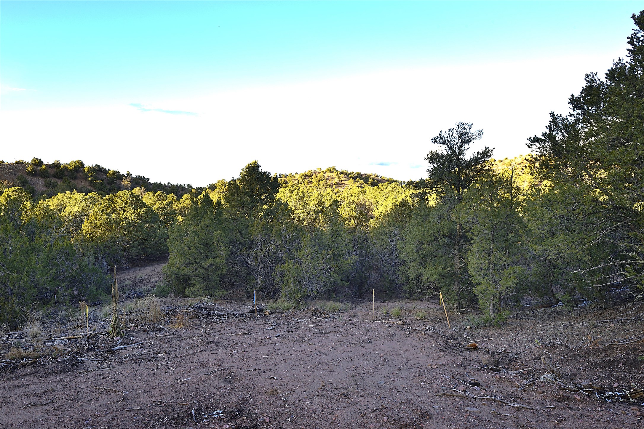 1479 Bishops Lodge Road #B, Santa Fe, New Mexico image 8