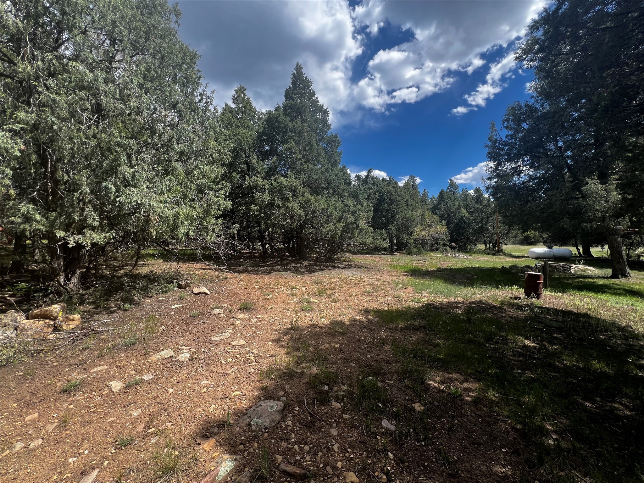 239 Cr 341, Chama, New Mexico image 6