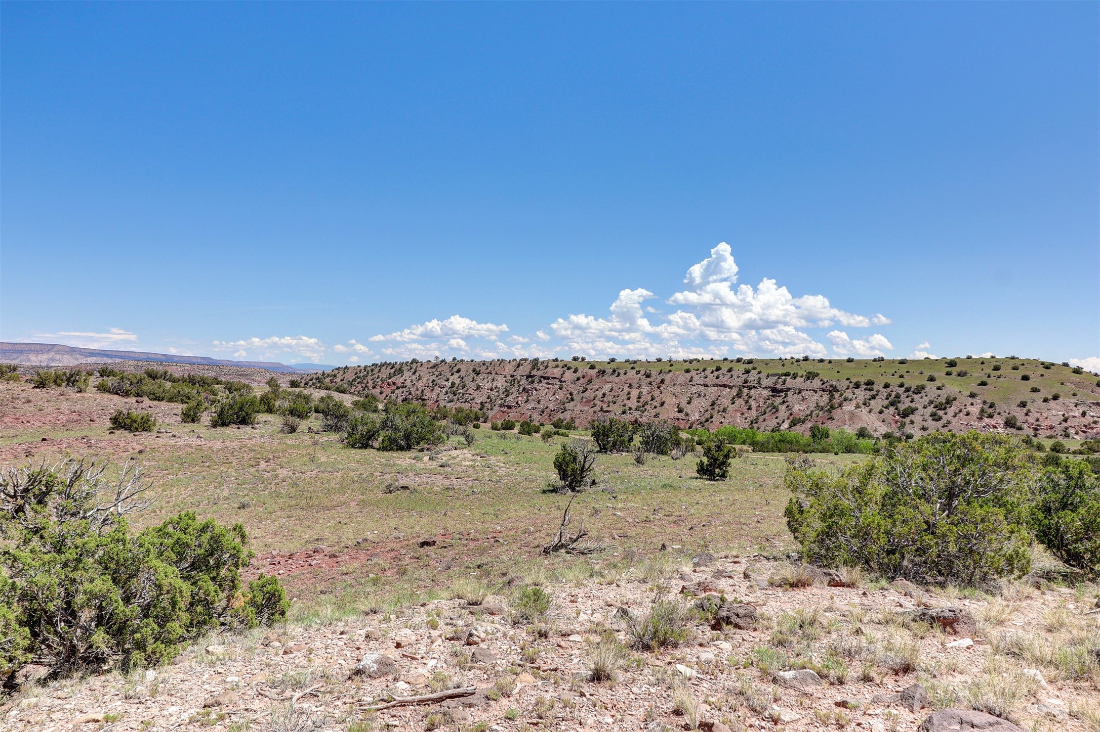 Lot #3 Las Animas De Abiquiu, Youngsville, New Mexico image 8