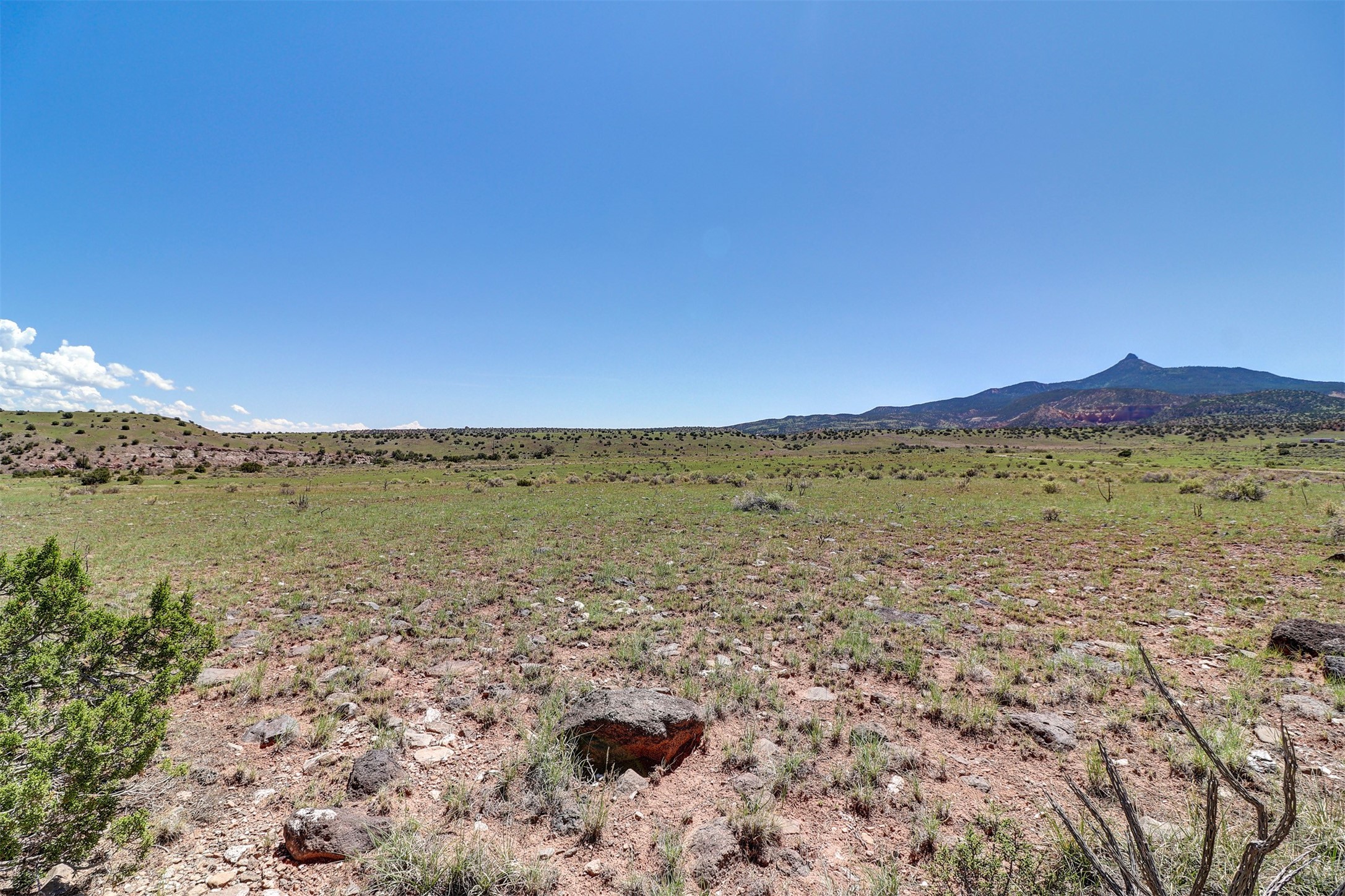 Lot #3 Las Animas De Abiquiu, Youngsville, New Mexico image 4