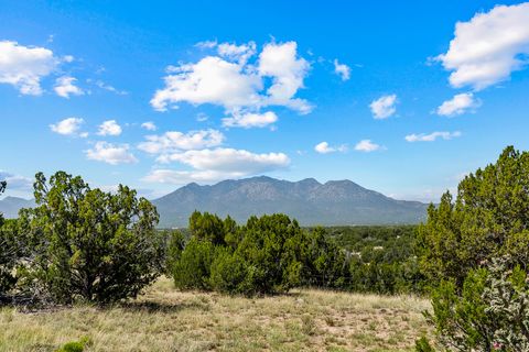 Tiny photo for 49 Blue Agave, Cerrillos, NM 87010 (MLS # 202502557)