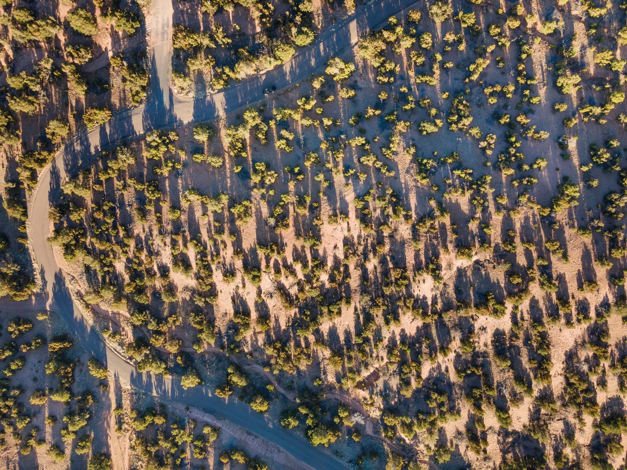 531 Estrada Redonda, Santa Fe, New Mexico image 15