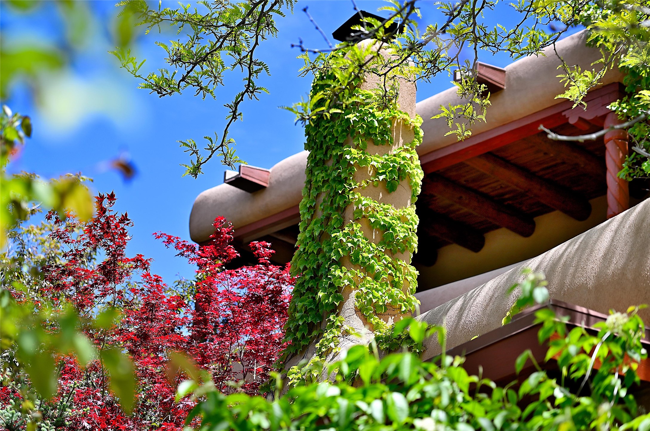 196 Circle Drive, Santa Fe, New Mexico image 37