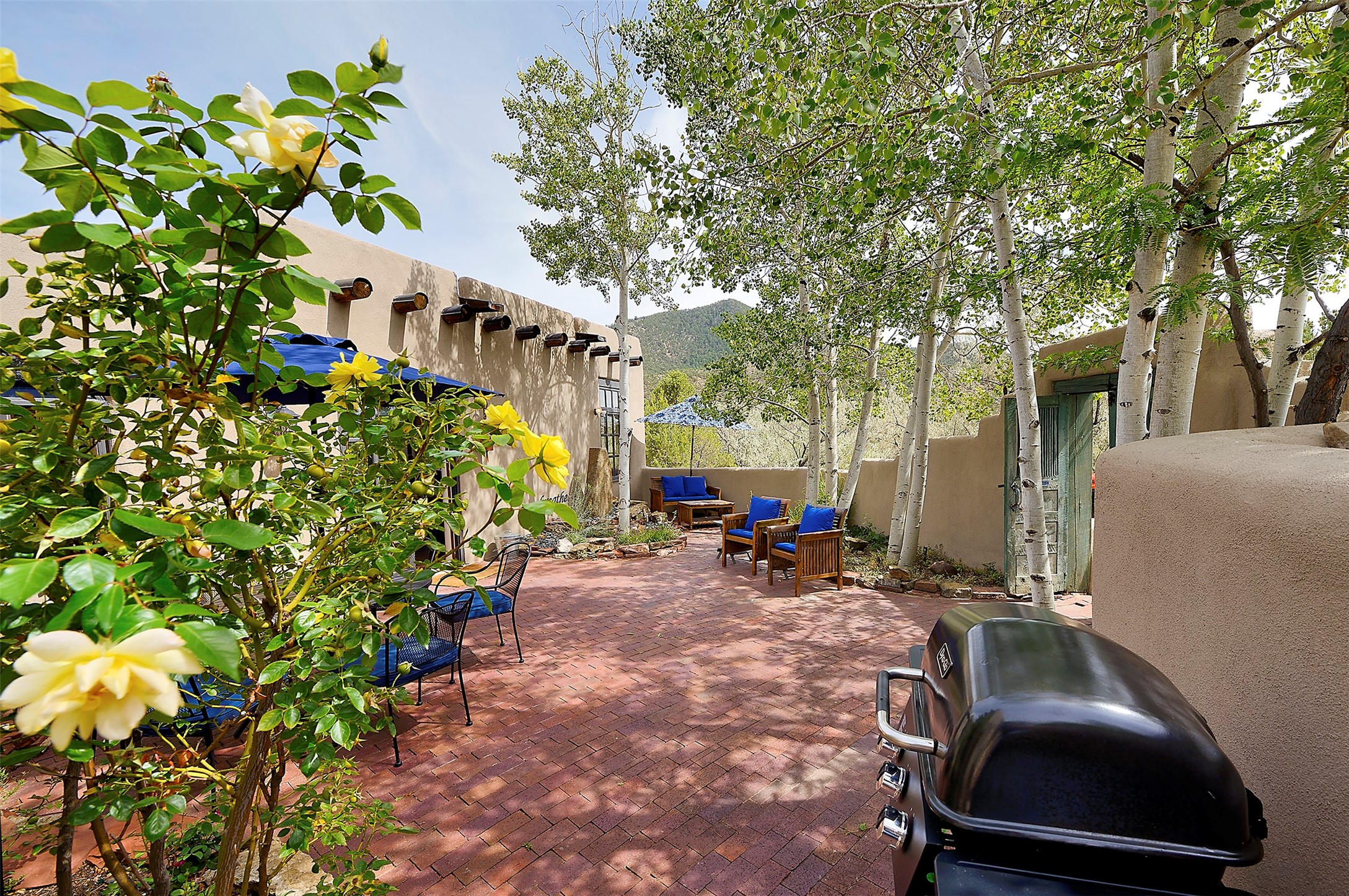 1677 Cerro Gordo Road #6 6A, Santa Fe, New Mexico image 7