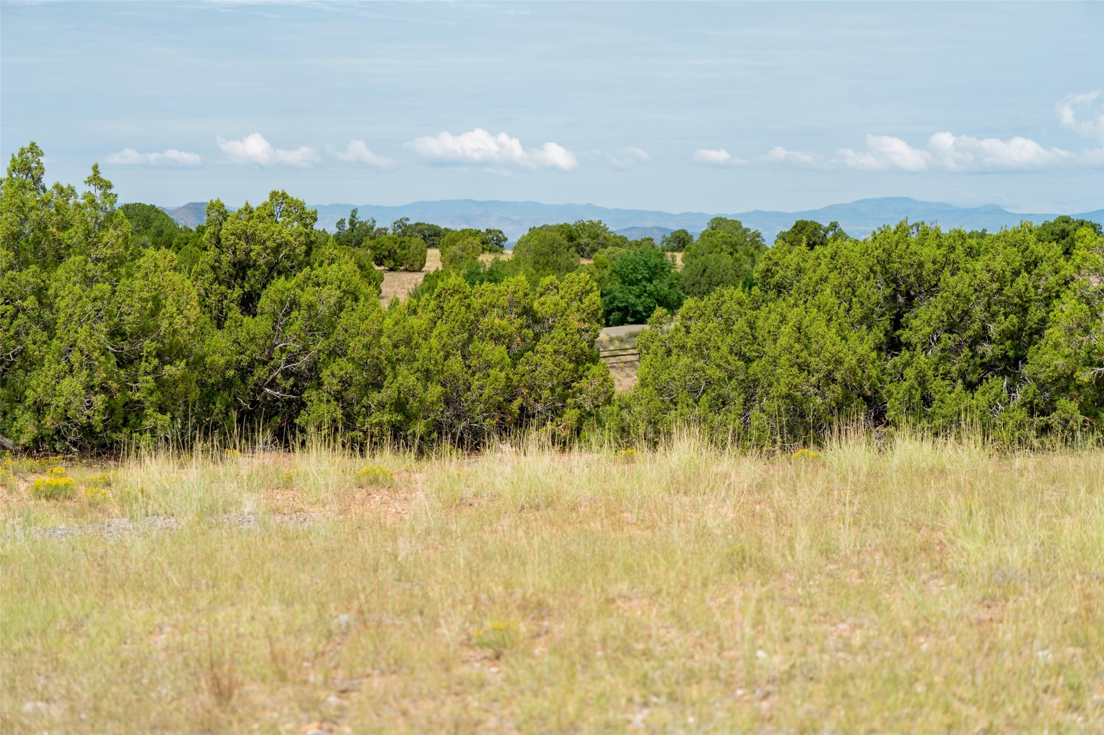 8 W West Camino Del Cielo, Santa Fe, New Mexico image 4