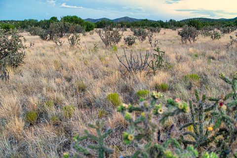 Tiny photo for 509 Goldmine, Cerrillos, NM 87010 (MLS # 202340221)