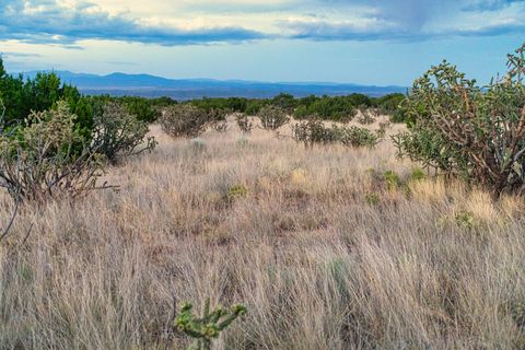 Tiny photo for 509 Goldmine, Cerrillos, NM 87010 (MLS # 202340221)