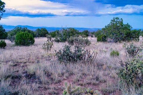 Tiny photo for 509 Goldmine, Cerrillos, NM 87010 (MLS # 202340221)
