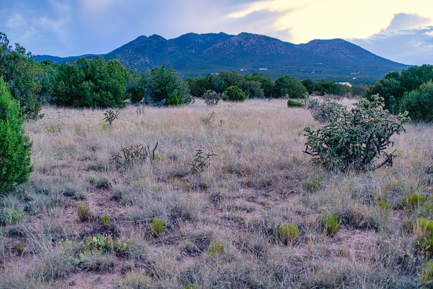 509 Goldmine, Cerrillos, New Mexico image 3