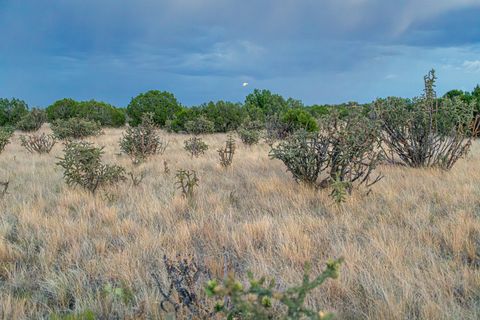 Tiny photo for 509 Goldmine, Cerrillos, NM 87010 (MLS # 202340221)