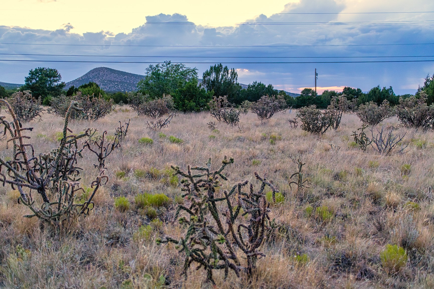 509 Goldmine, Cerrillos, New Mexico image 4