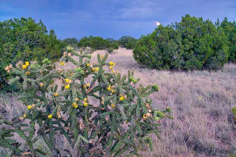 Tiny photo for 509 Goldmine, Cerrillos, NM 87010 (MLS # 202340221)