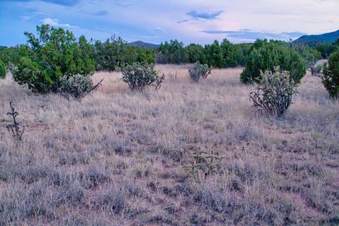 Tiny photo for 509 Goldmine, Cerrillos, NM 87010 (MLS # 202340221)