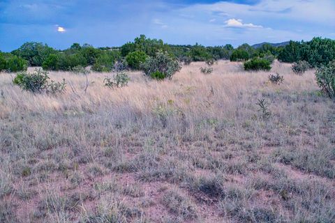 Tiny photo for 509 Goldmine, Cerrillos, NM 87010 (MLS # 202340221)