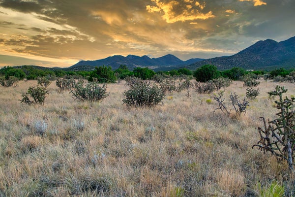 509 GOLDMINE RD, CERRILLOS, NM 87010 - Image b4192a19677a28a98a6783e6a84a00a6/3815233646