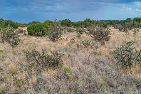 Tiny photo for 509 Goldmine, Cerrillos, NM 87010 (MLS # 202340221)
