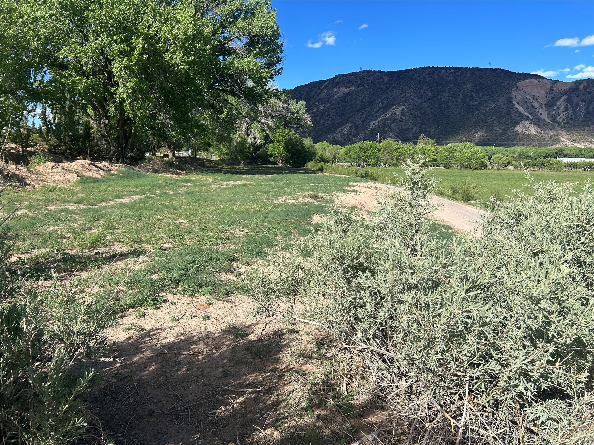 77-99 1550, Hernandez, New Mexico image 5