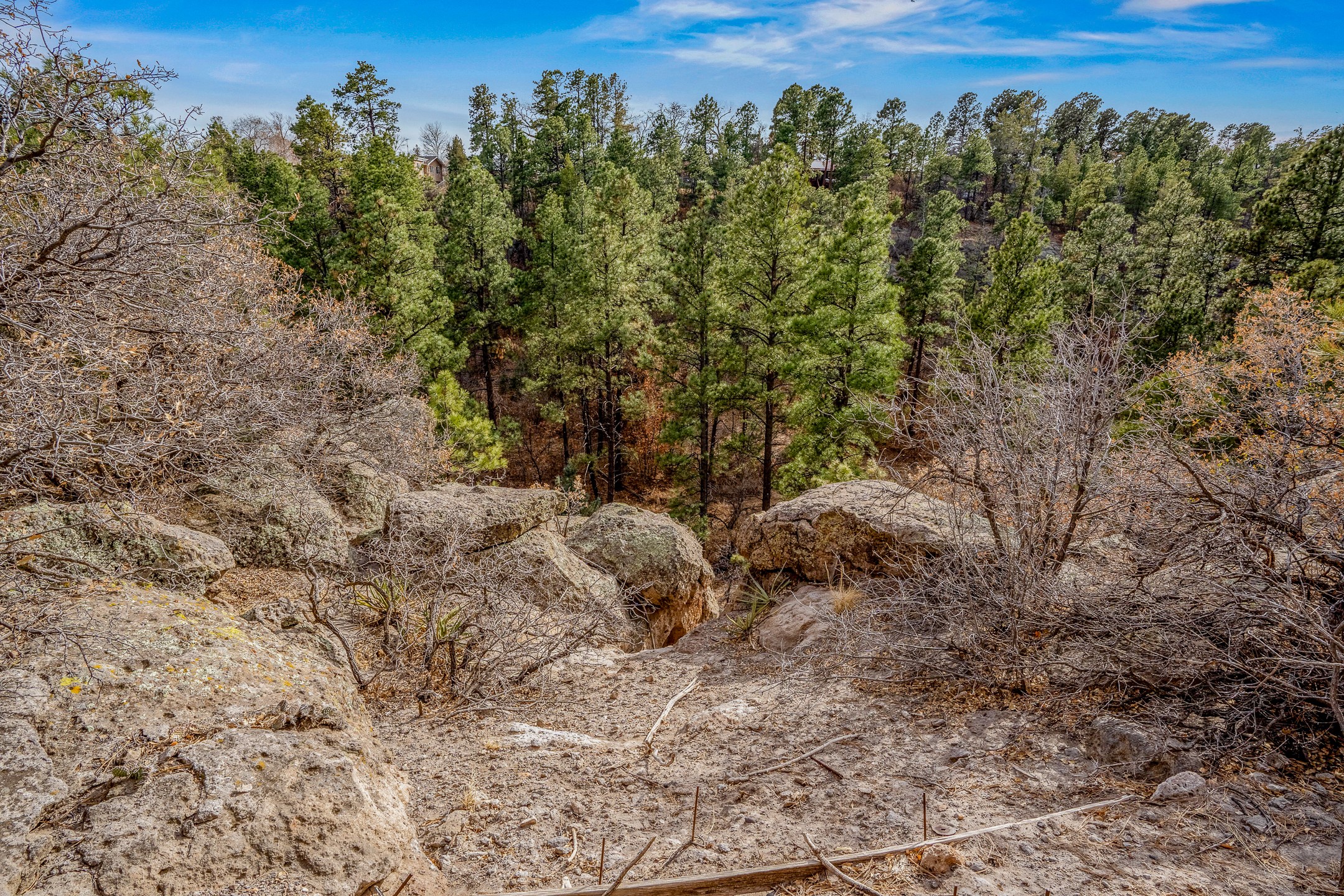 225 Rim Road, Los Alamos, New Mexico image 45