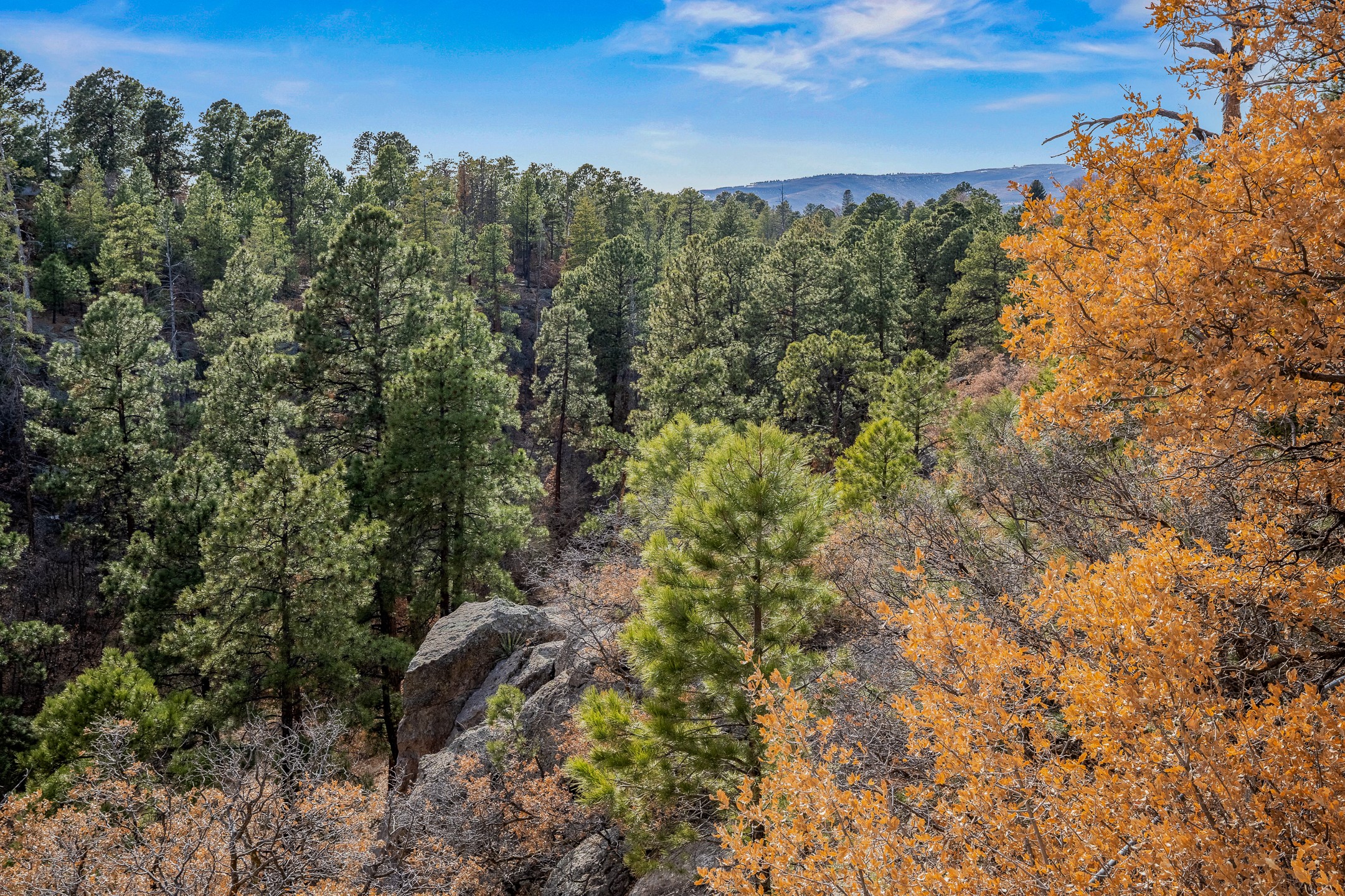 225 Rim Road, Los Alamos, New Mexico image 44