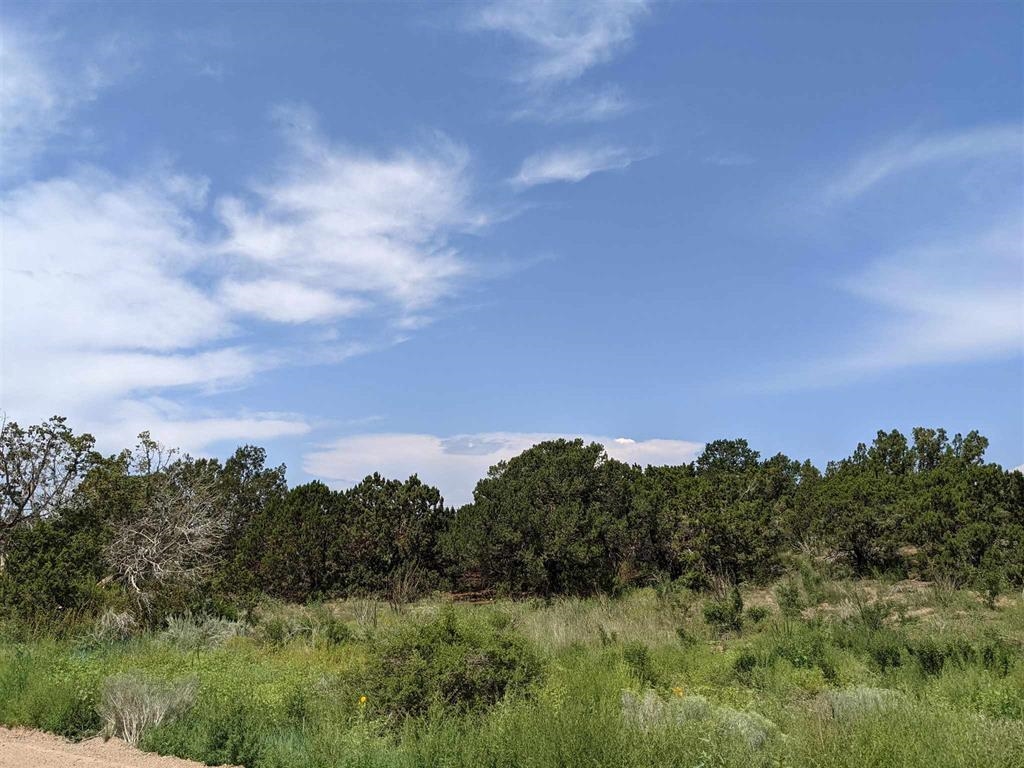 12 Camino Valle, Santa Fe, New Mexico image 4