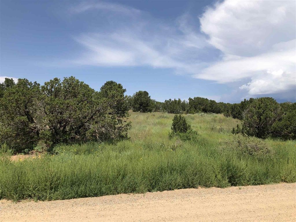 12 Camino Valle, Santa Fe, New Mexico image 3