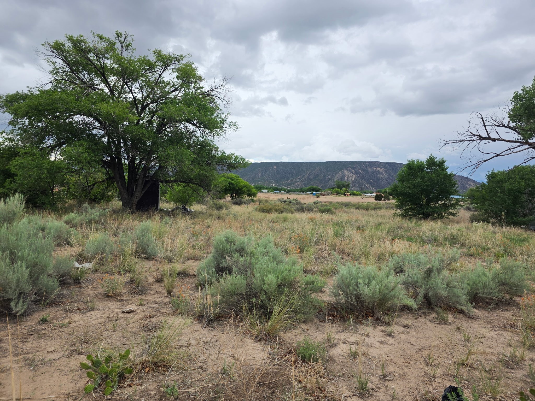 13 County Road 136a, Hernandez, New Mexico image 2