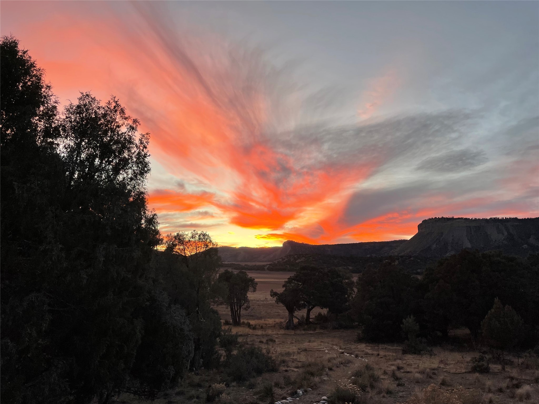 808 County Road 322, Los Ojos, New Mexico image 5