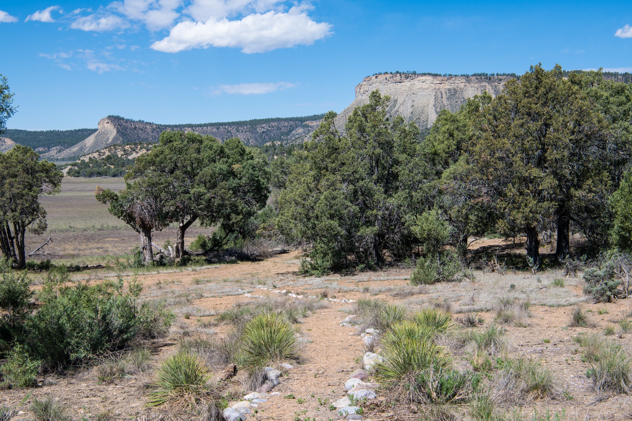 808 County Road 322, Los Ojos, New Mexico image 6