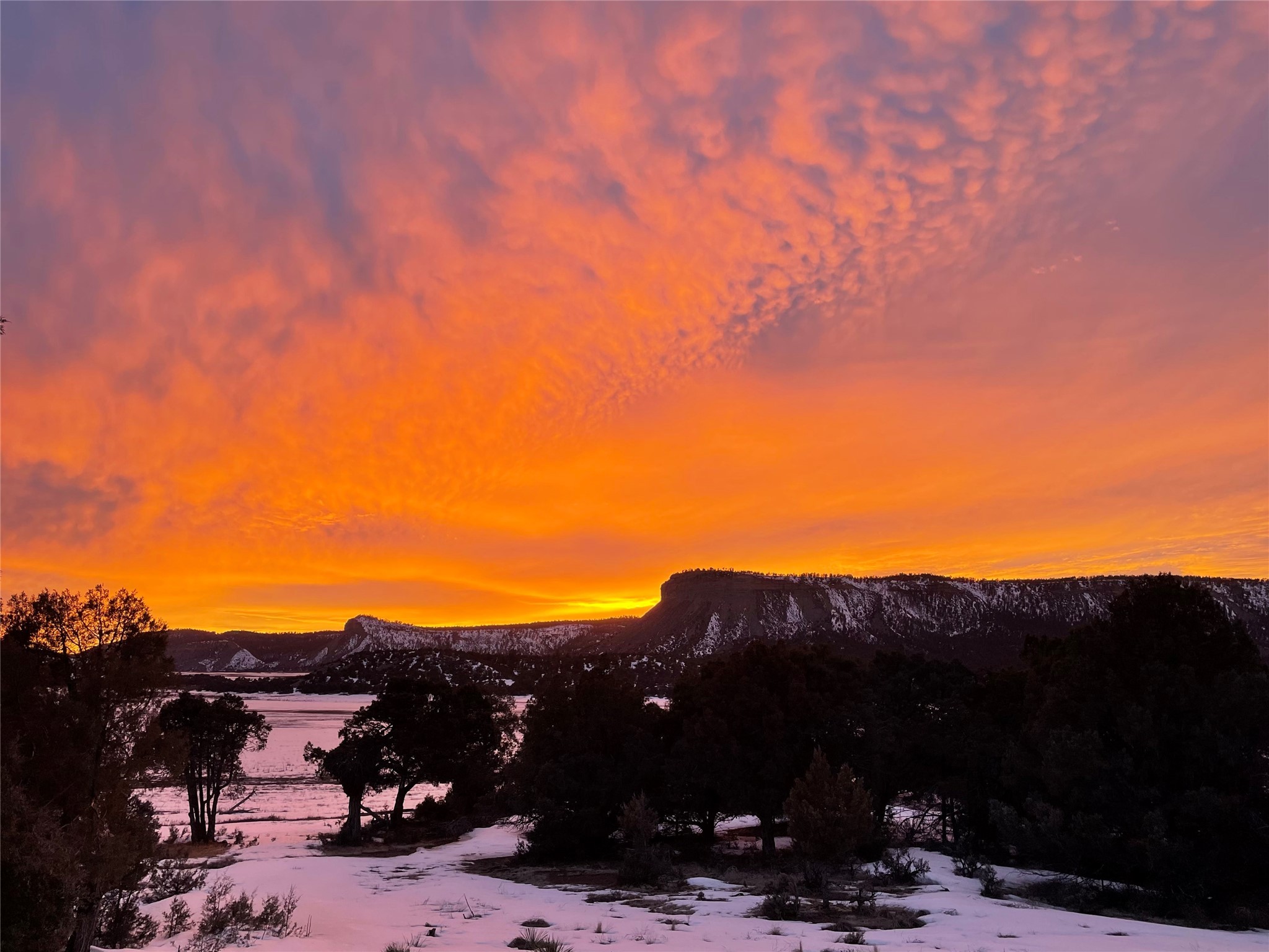 808 County Road 322, Los Ojos, New Mexico image 24