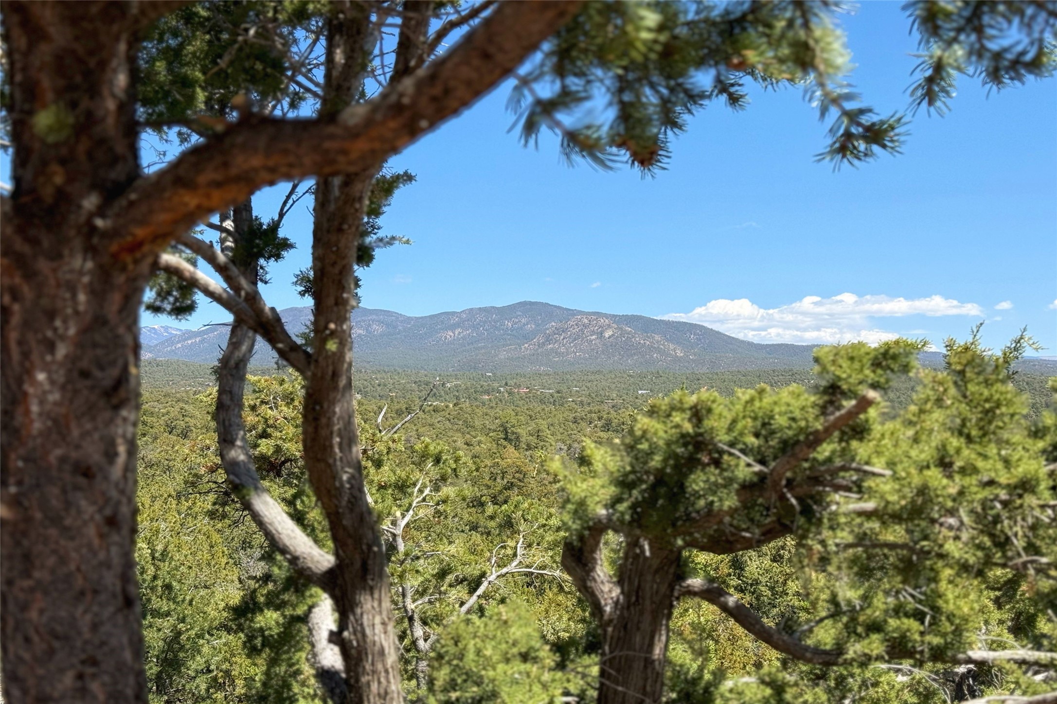 8 Hampton Road, Santa Fe, New Mexico image 14