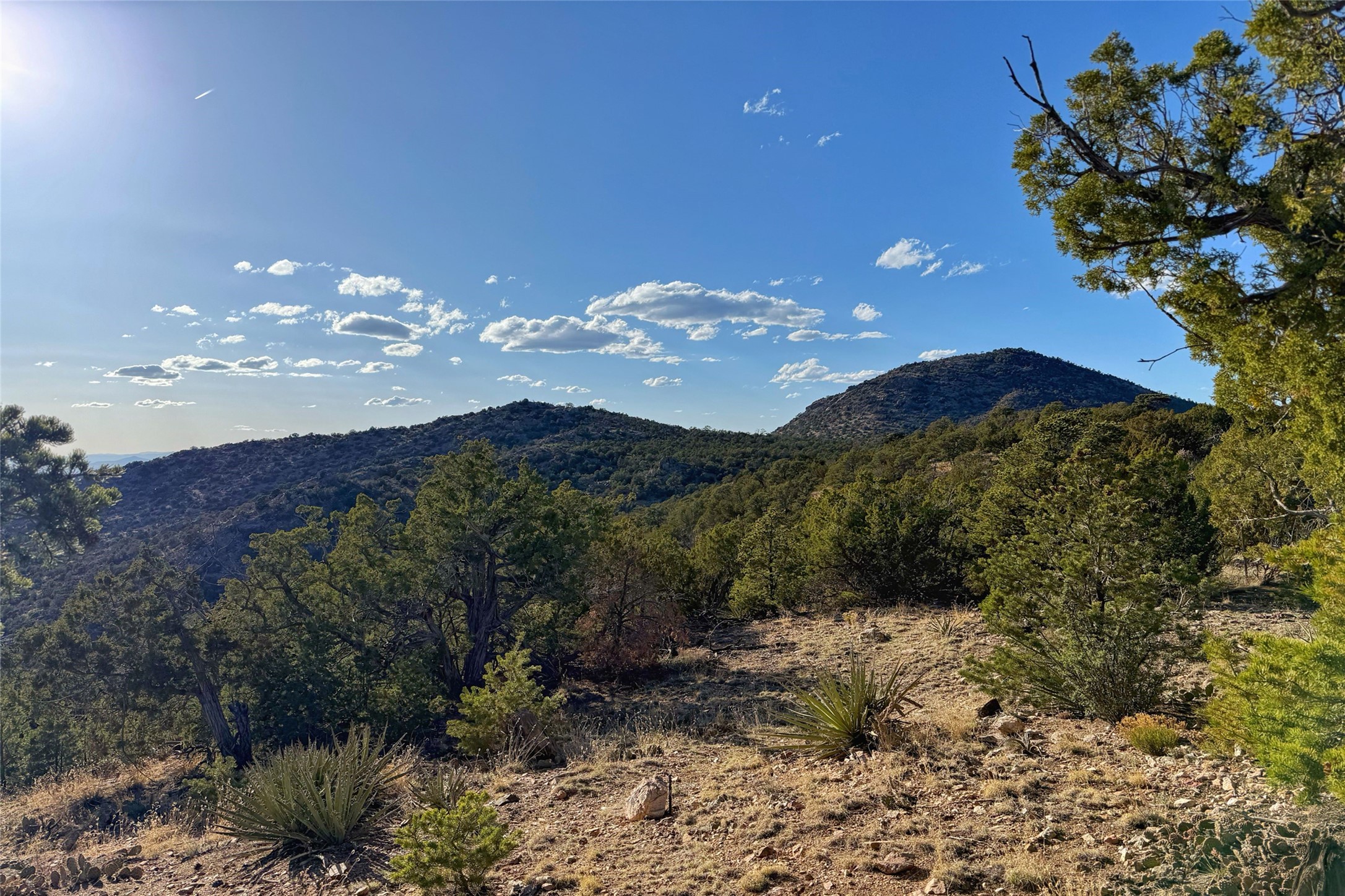 8 Hampton Road, Santa Fe, New Mexico image 11