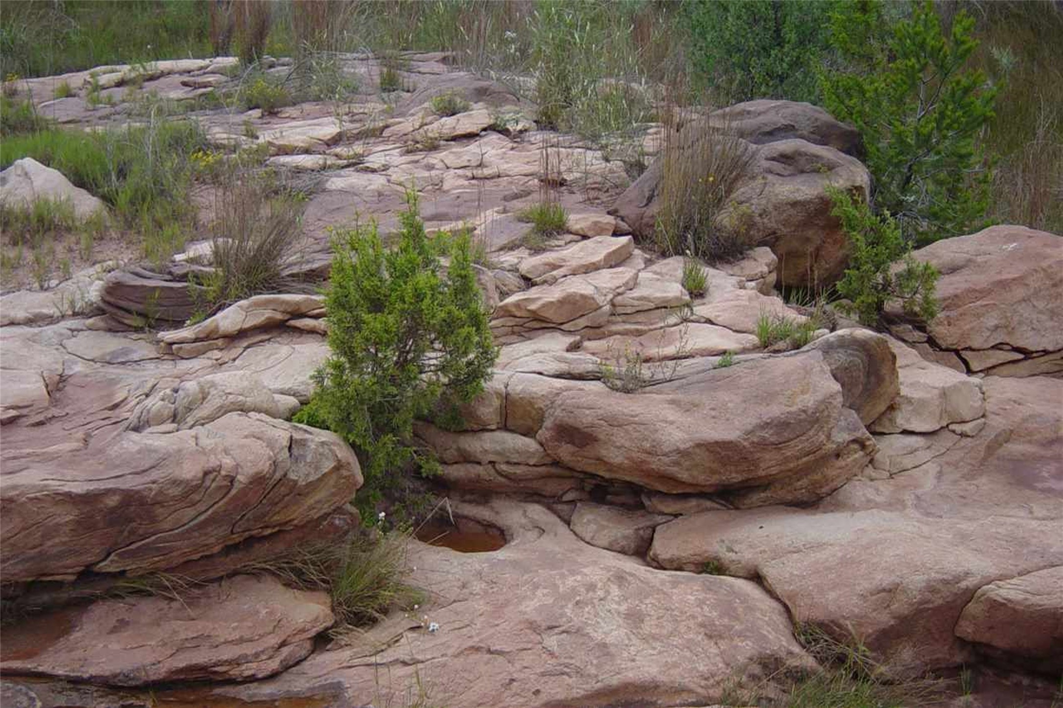5 F6F Camino Real Loop, Pecos, New Mexico image 2