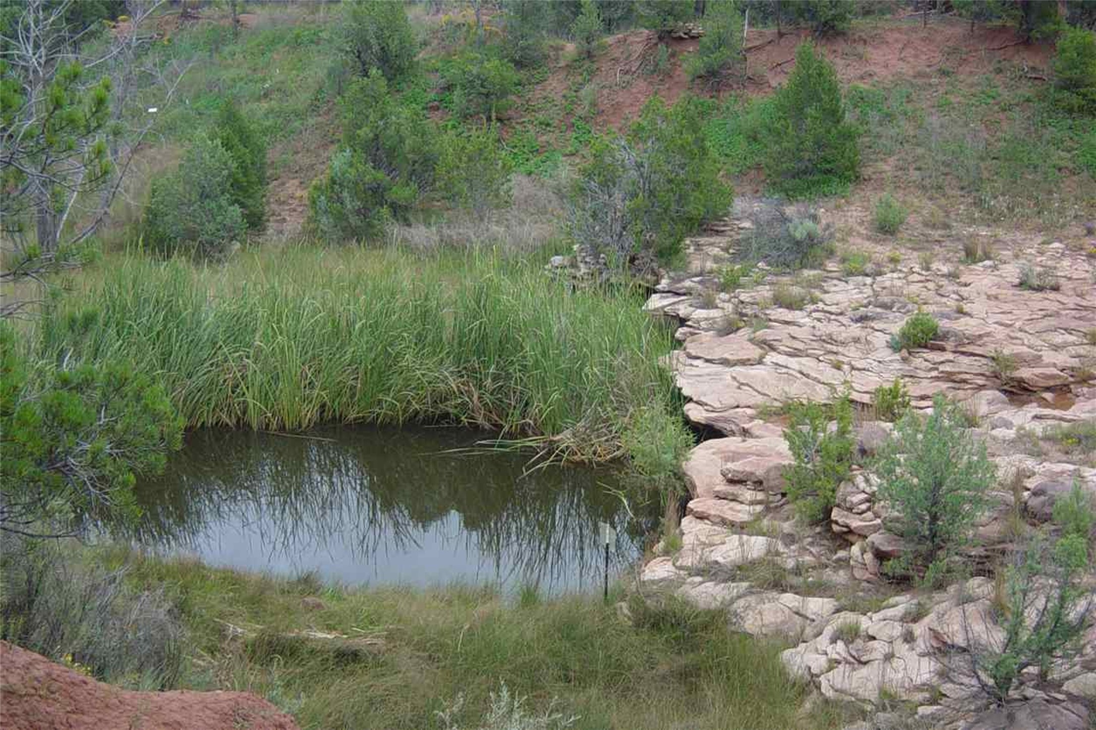 5 F6F Camino Real Loop, Pecos, New Mexico image 3
