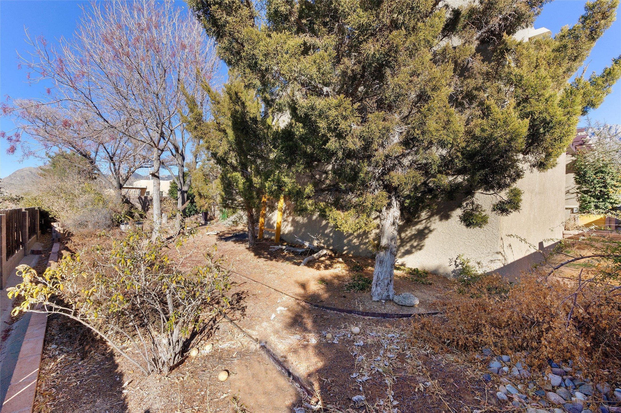 2878 Brushwood Street, Albuquerque, New Mexico image 43
