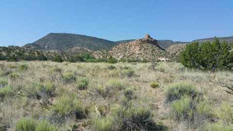 Vacant Land For Sale - County Road 163<br/> Abiquiu, NM 87510
