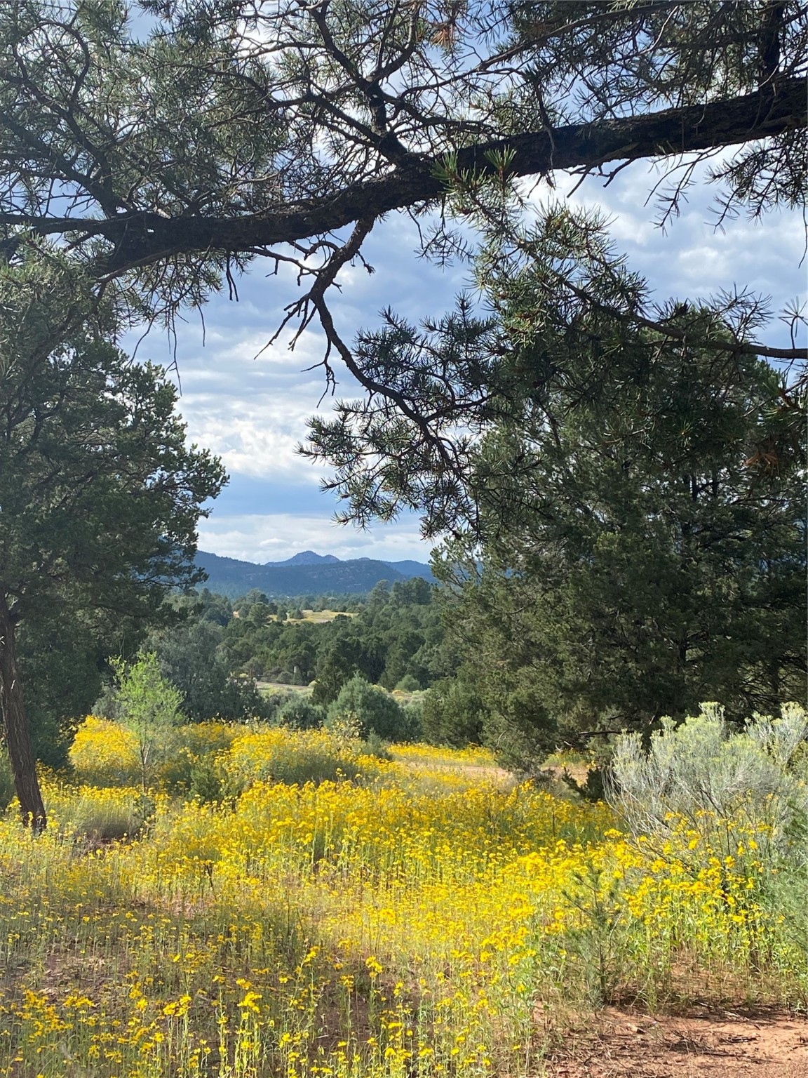 64 (Lot 6A) The Cliffs, Glorieta, New Mexico image 11
