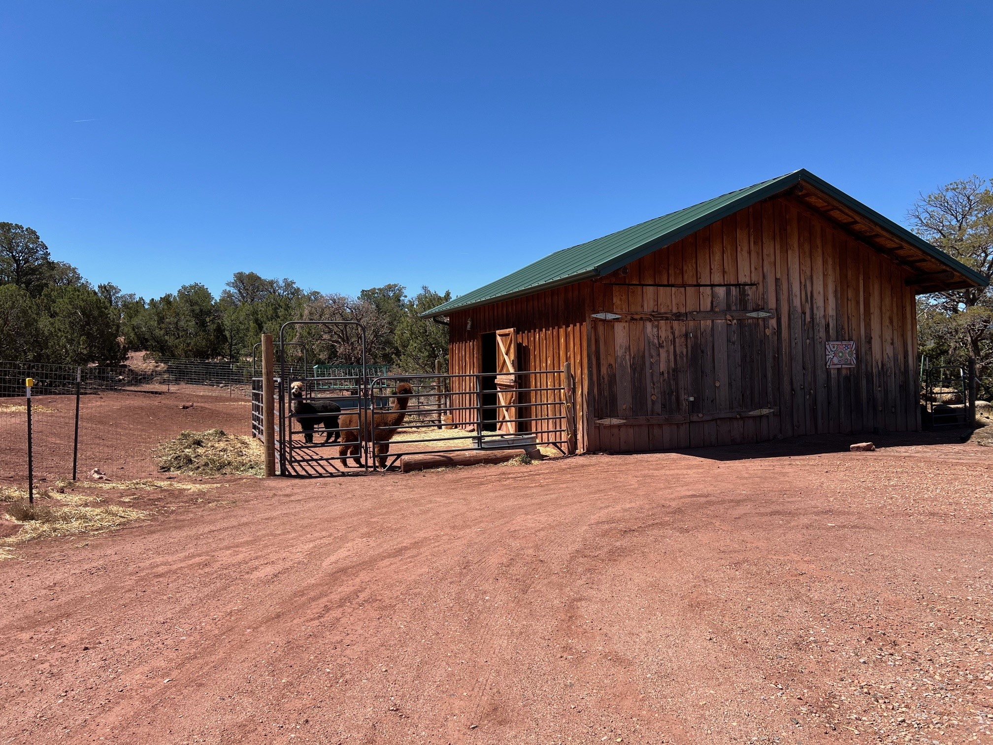 29 County Road B41e, Ribera, New Mexico image 8