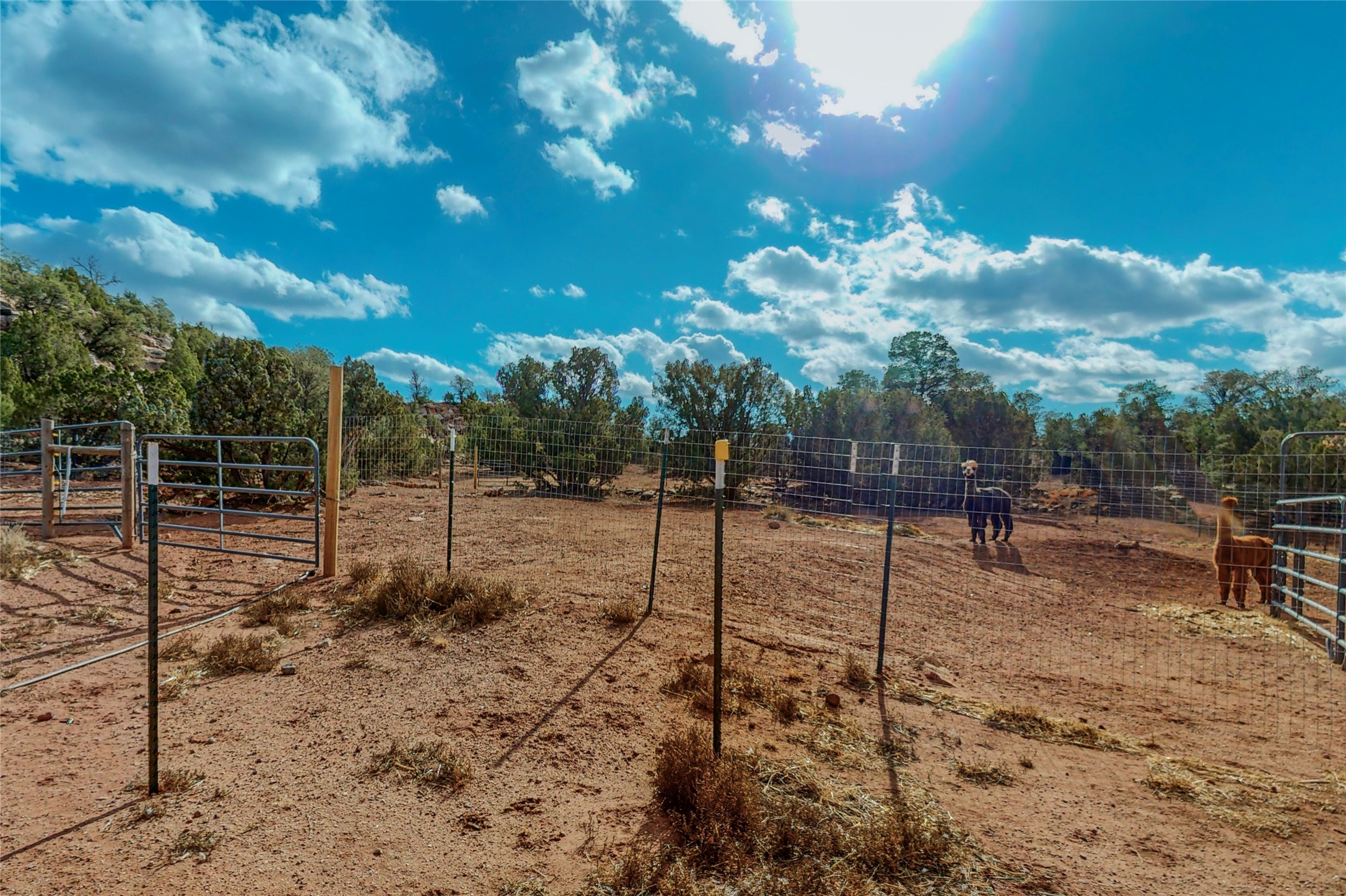 29 County Road B41e, Ribera, New Mexico image 42