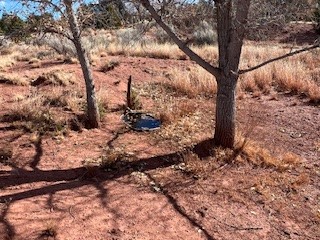 29 County Road B41e, Ribera, New Mexico image 50