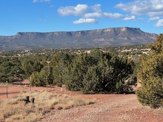 29 County Road B41e, Ribera, New Mexico image 48