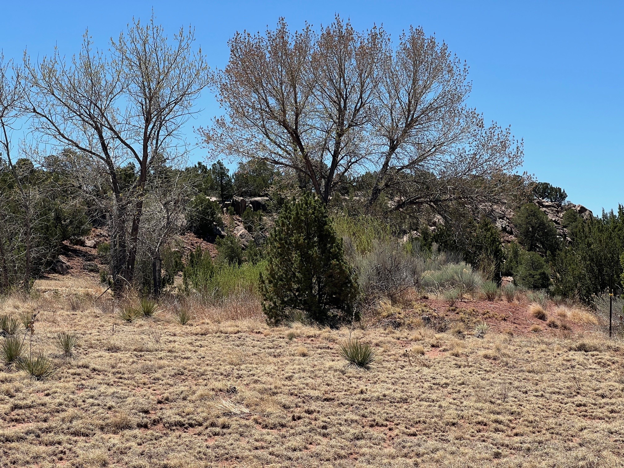 29 County Road B41e, Ribera, New Mexico image 45