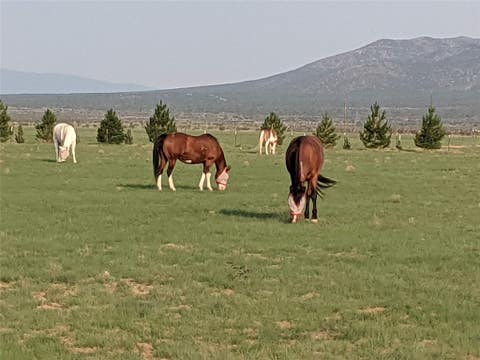 Vacant Land For Sale - 32 County Road 28<br/> Stanley, NM 87056