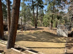 3816 Ridgeway Dr, Los Alamos, New Mexico image 11