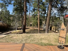 3816 Ridgeway Dr, Los Alamos, New Mexico image 14