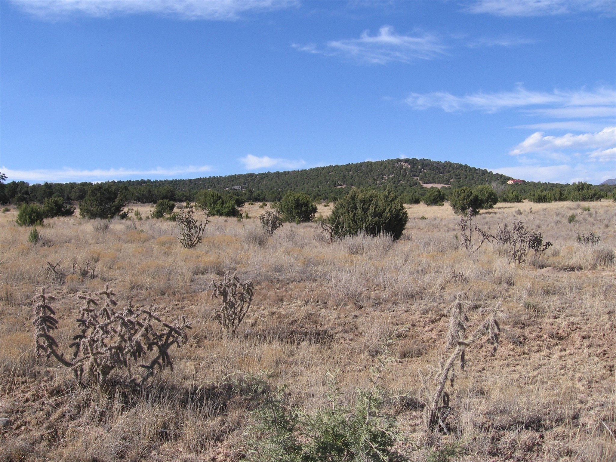 XXXX N Vista Valle Drive, Tijeras, New Mexico image 5